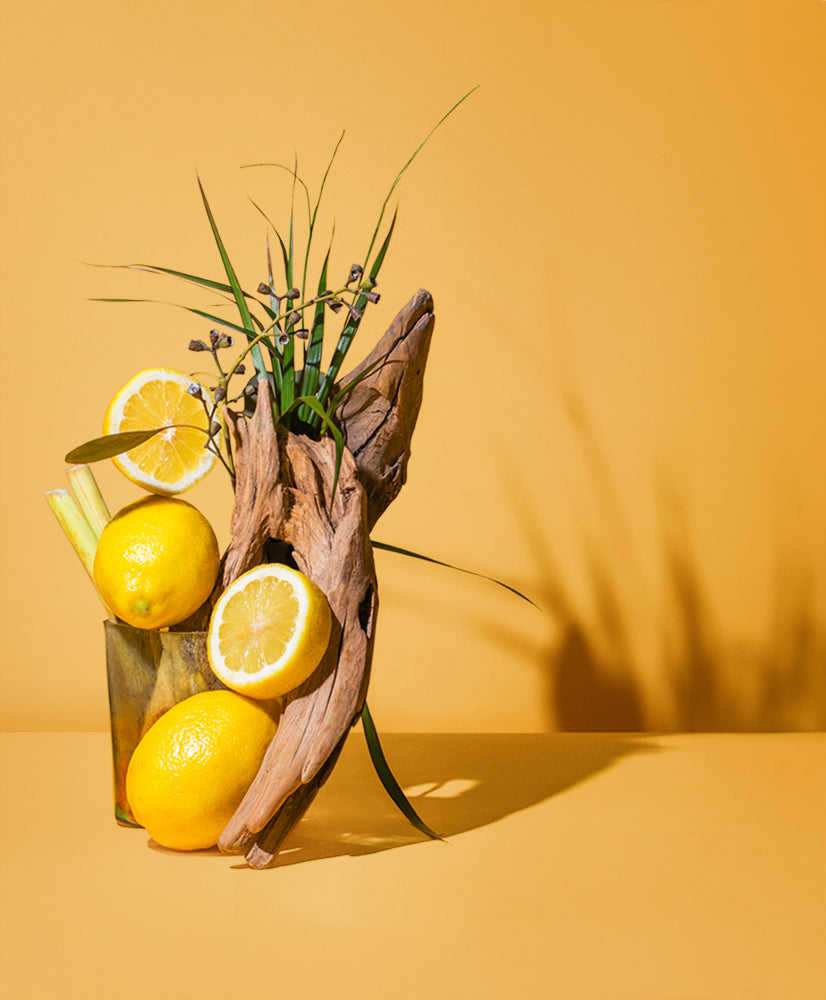 citronella & camphor™ natural fragrance oil