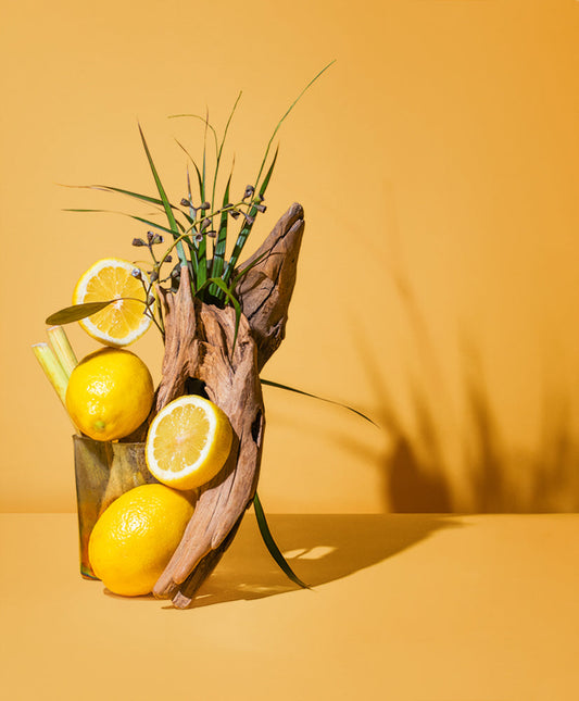 citronella & camphor™ natural fragrance oil