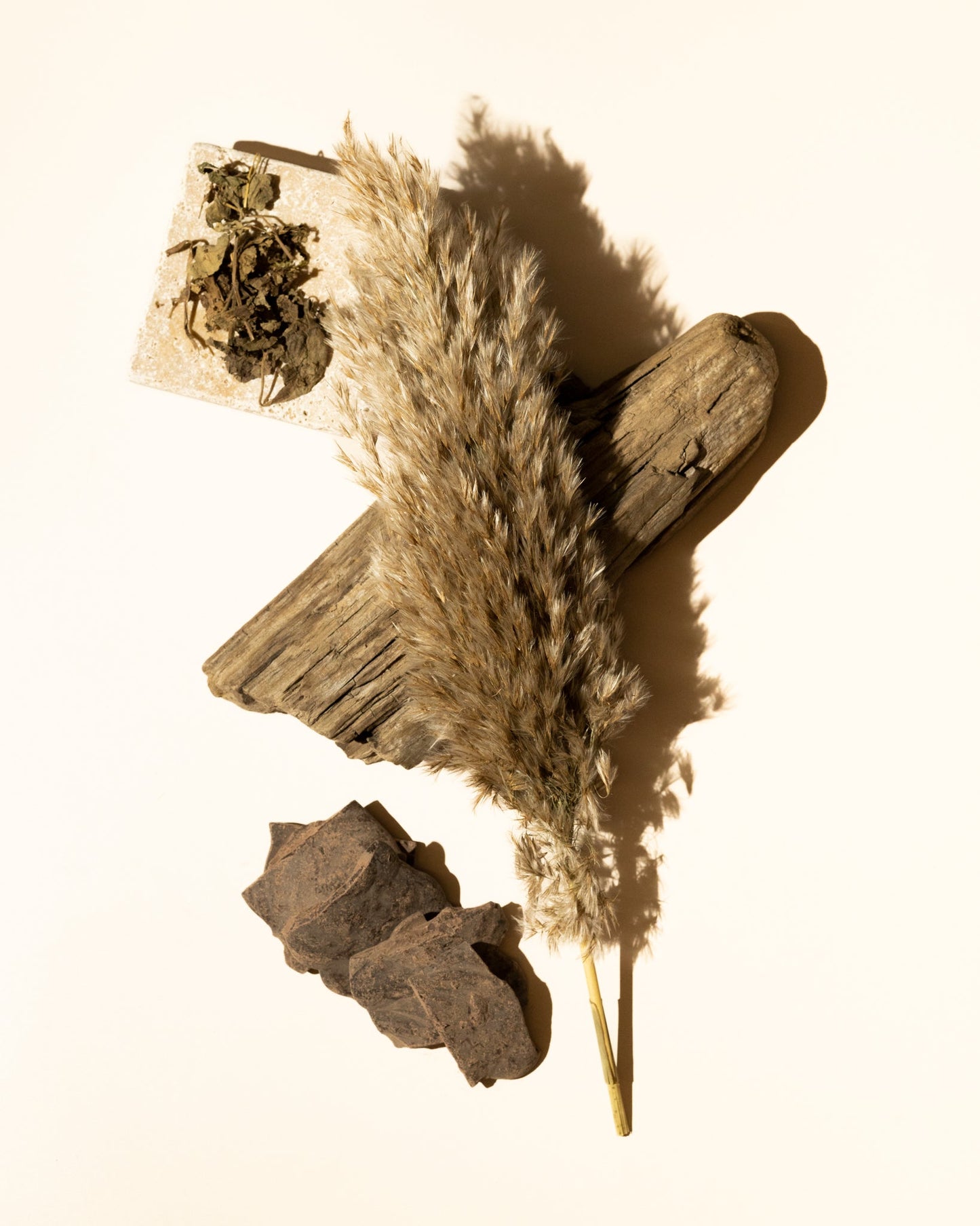 cacao woods fragrance oil accord