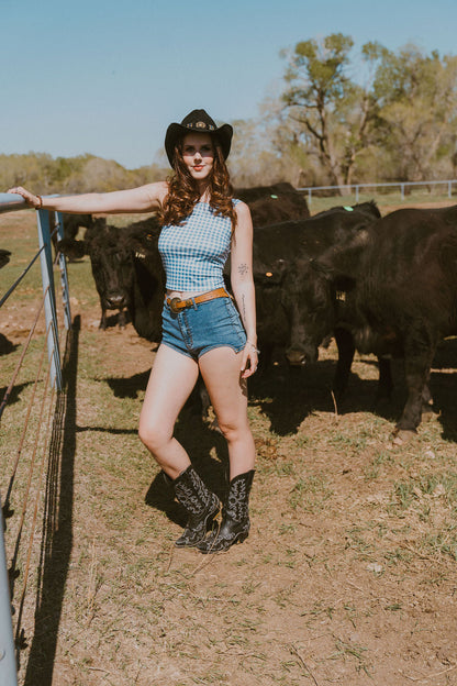 The Ashley Denim Shorts