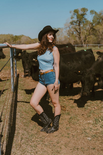 The Ashley Denim Shorts