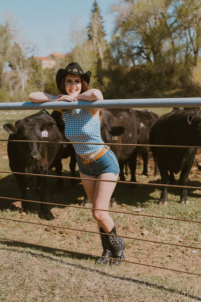 The Ashley Denim Shorts