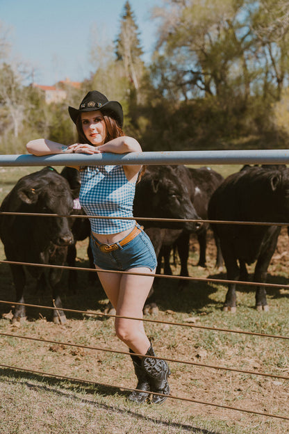 The Ashley Denim Shorts
