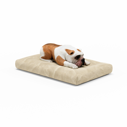 Eco-Pet Latex Lounger | Dog Bed| Organic Latex | Eco-Friendly | STYLNN®️