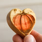 Engraved Hearts