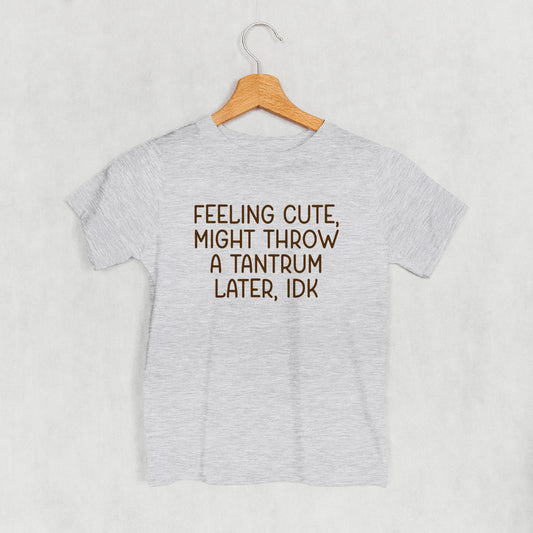 Feeling Cute Might Throw A Tantrum (Kids)