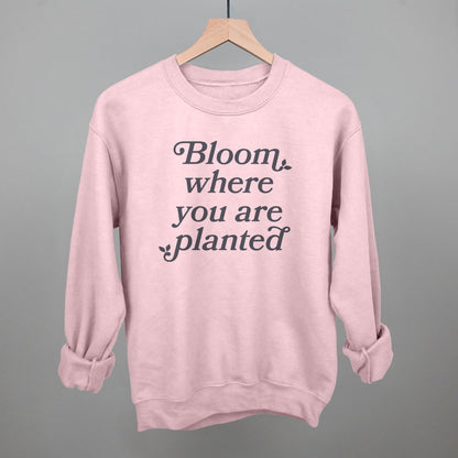 Bloom Where You Are Planted