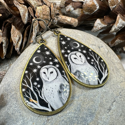 Night Sky Barn Owl Earrings