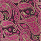 Vittorio Farina Men's Paisley Design Necktie & Pocket Square