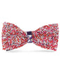 Vittorio Farina Men's Rhinestone Bow Tie in Gift Box