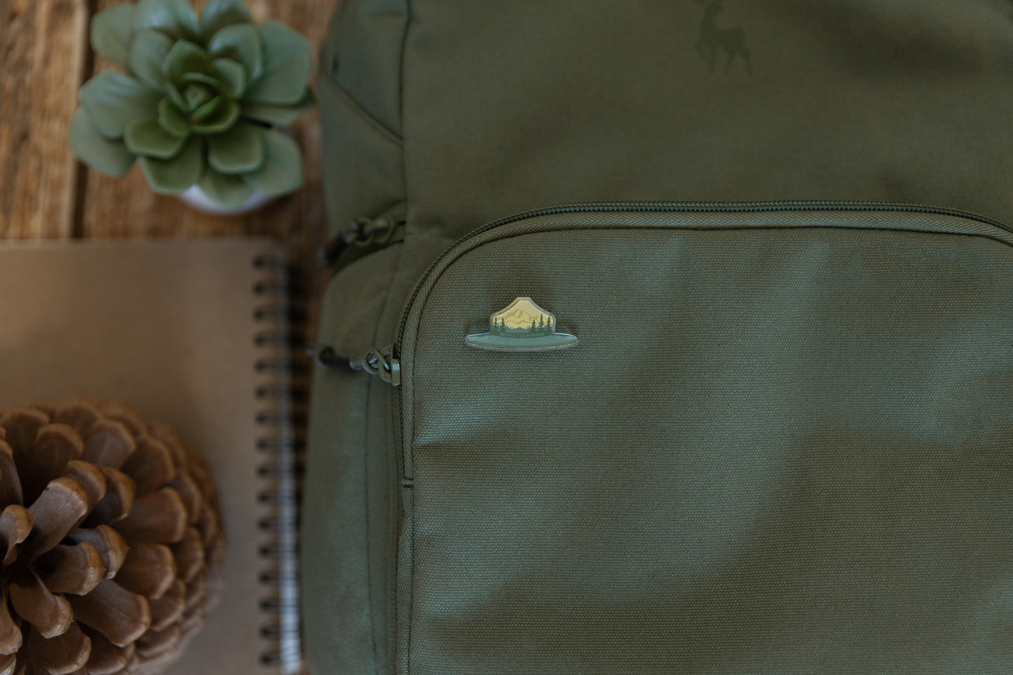 Park Ranger Hat Acrylic Pin