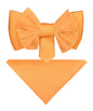 Vittorio Farina Men's XL Solid Satin Bow Tie & Pocket Square in Gift Box