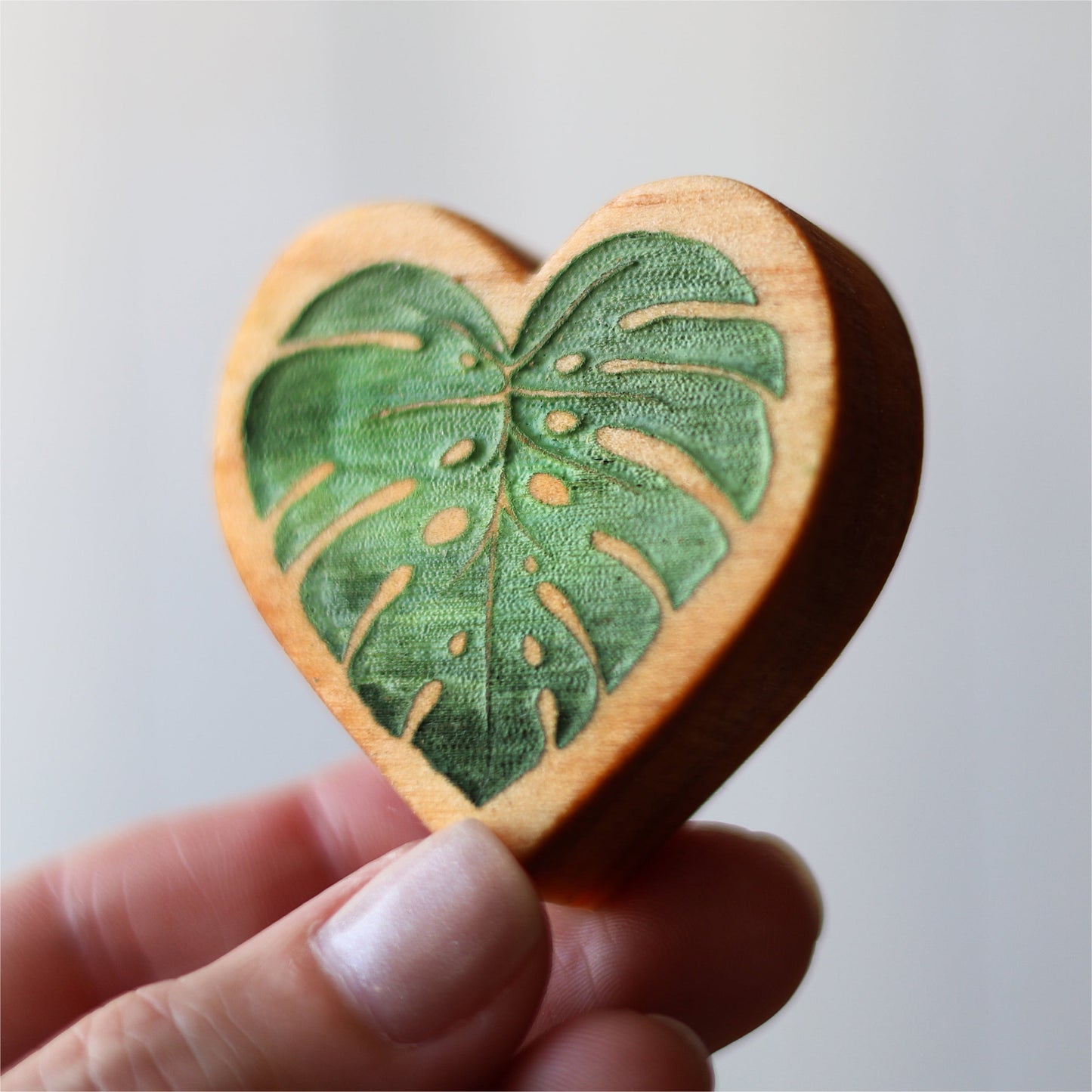 Mystery Boxes :: Plant Life