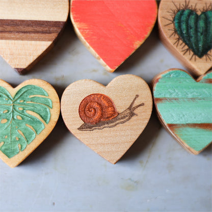 Mystery Boxes :: Plant Life