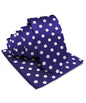 Vittorio Farina Men's Polka Dot Satin Necktie & Pocket Square