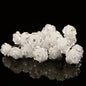 Leia - Pearl and Crystal Bridal Hair Pins - Set of 10
