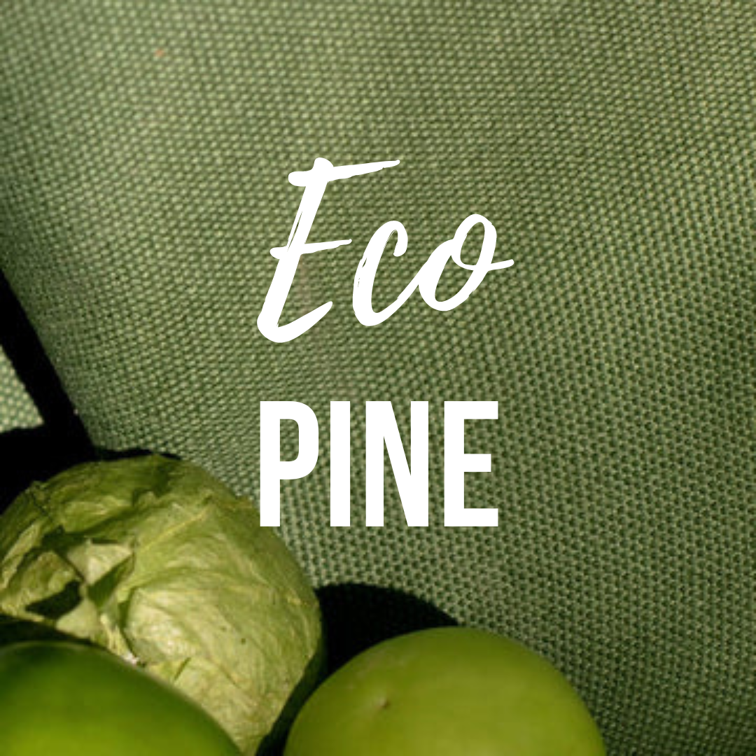 Eco-Pet Latex Lounger | Dog Bed| Organic Latex | Eco-Friendly | STYLNN®️