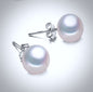 Maisy - Freshwater Pearl and Sterling Silver Stud Earrings