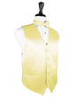 Luxury Satin Tuxedo Vest 7