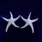 Marbella - Pearl and Crystal Sea Star Bridal Earrings