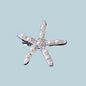 "Alani" - Starfish Bridal Hair Clip - Available in Gold and Silver