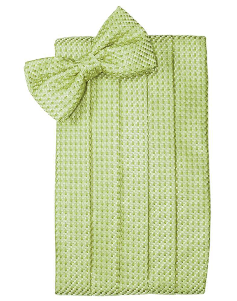 Venetian Cummerbund