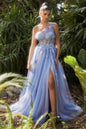 One Shoulder Lace Applique Tulle Gown
