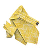 Vittorio Farina Men's Woven Pasiley Ascot & Pocket Square
