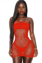 Strapless Mesh Chemise