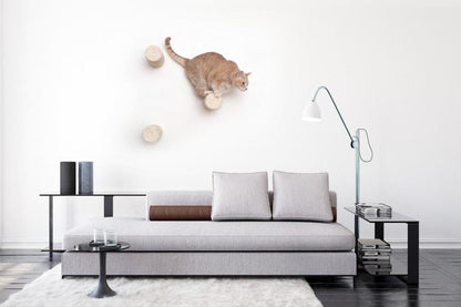 Floating Cat Step for Wall