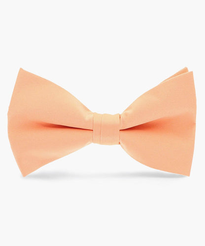 Vittorio Farina Men's Satin Bow Tie in Gift Box