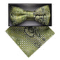 Vittorio Farina Men's Paisley Design Satin Bow Tie & Pocket Square in Gift Box