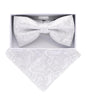 Vittorio Farina Men's Metallic Design Bow Tie & Pocket Square in Gift Box
