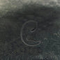 Black Crawling Snake Stainless Steel Ear Cuffs