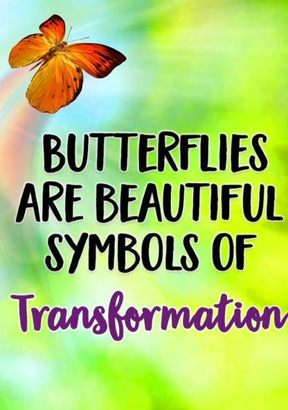 Enamel Butterfly Brooch