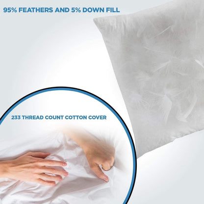 Canvello Luxury Pillows For Couch | 16 x 16 in (40 x 40 cm)