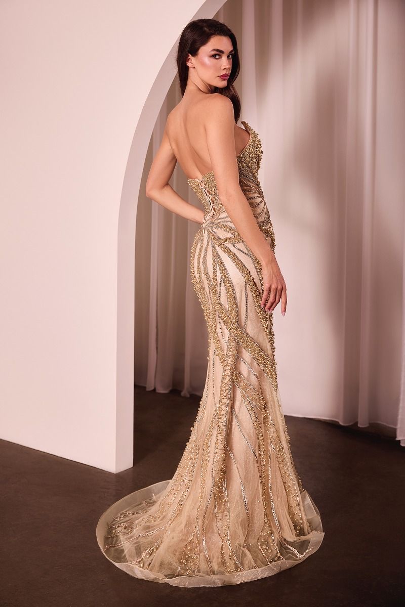 Pearl & Crystal Strapless Fitted Dress