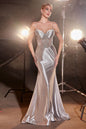 Satin Fitted Dress