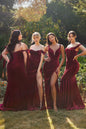 Off The Shoulder Fitted Velvet Gown