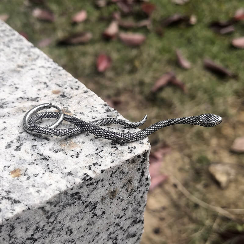 Coiled Snake Stainless Steel Animal Earrings