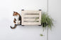 Deluxe Cat Cubby Bed