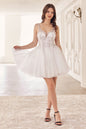 Beaded A-Line Layered Tulle Short Dress
