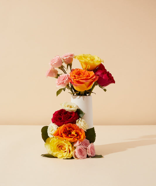 rose absolute