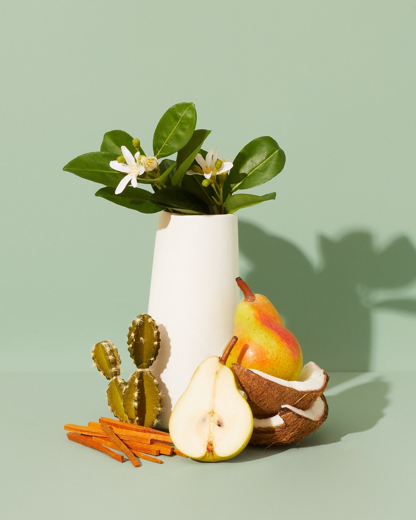 prickly pear & maypan coconut™ fragrance oil