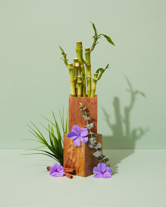 green bamboo & wild violet™ fragrance oil