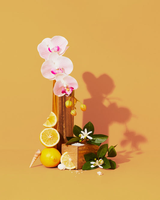 sun lotion & sea breeze™ fragrance oil