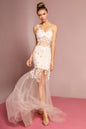 Lace Embellished Tulle Long Dress with Sheer Waist and Skirt