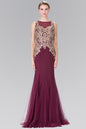 Embroidered Bodice Long Dress with Sheer Back