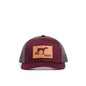 Pointer Dog Patch Hat