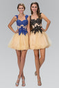 Rolled Hem Short Tulle Dress with Floral Lace Embellished Bodice